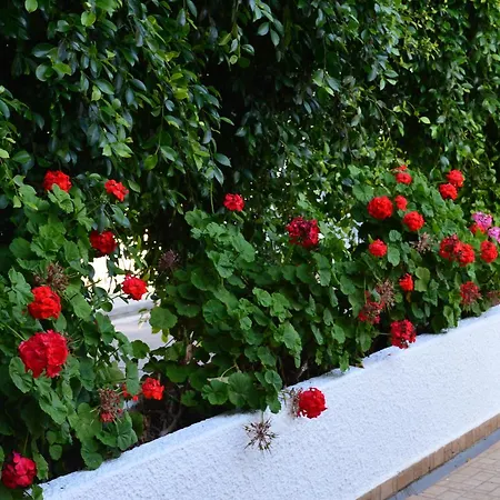 Apartment Chrysland Ayia Napa